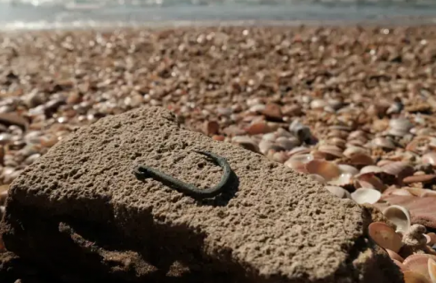 Amo da pesca in rame di 6.000 anni scoperto ad Ashkelon