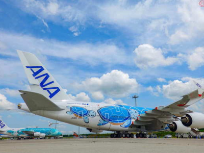 Una tartaruga blocca per 12 minuti l'aeroporto Narita di Tokyo 