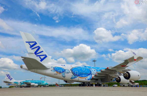 Una tartaruga blocca per 12 minuti l'aeroporto Narita di Tokyo