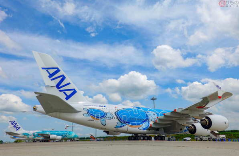 Una tartaruga blocca per 12 minuti l'aeroporto Narita di Tokyo 