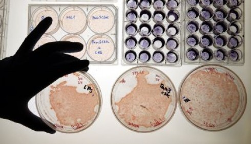 analisi laboratorio analisi laboratorio