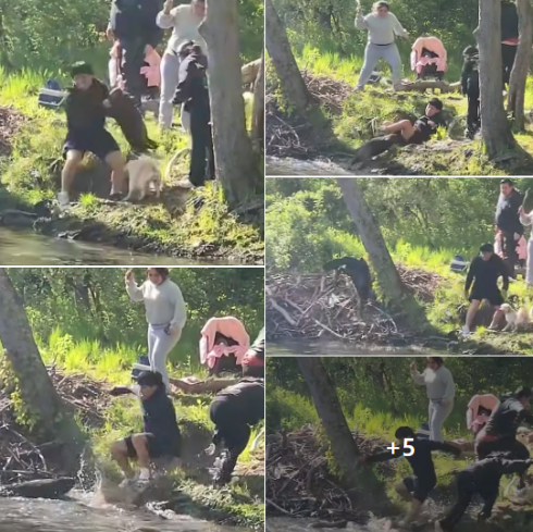 Un castoro risultato infetto da rabbia attacca un bambino di 8 anni al lago Henry a Mahwah, nel New Jersey &ndash; Il video