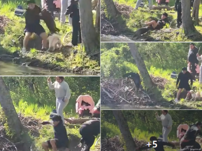 Un castoro risultato infetto da rabbia attacca un bambino di 8 anni al lago Henry a Mahwah, nel New Jersey &ndash; Il video