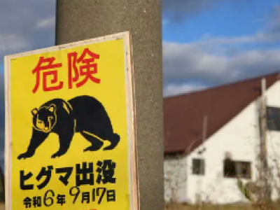 Il Giappone è sotto shock: due morti in 24 ore dopo l'attacco di un orso mentre un raccoglitore di funghi risulta scomparso