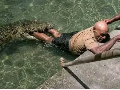 Tragico incidente in un parco faunistico di della Papua Nuova Guinea: addestratore di coccodrilli aggredito a Port Moresby