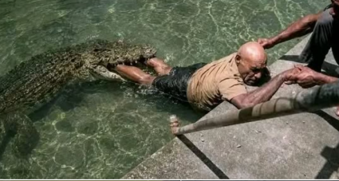 Tragico incidente in un parco faunistico di della Papua Nuova Guinea: addestratore di coccodrilli aggredito a Port Moresby