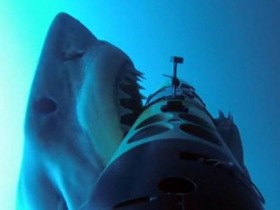 Shark attack: Australia, sub ucciso da squalo. 