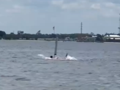 Attacco di squalo a Panama: dipendente della base navale in condizioni critiche dopo essere stato attaccato da uno squalo &ndash; Il video 