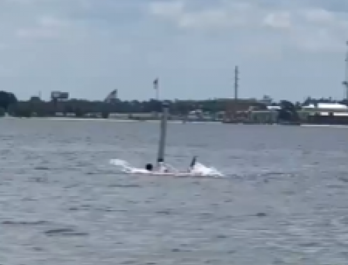 Attacco di squalo a Panama: dipendente della base navale in condizioni critiche dopo essere stato attaccato da uno squalo &ndash; Il video 