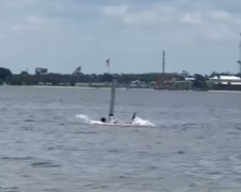 Attacco di squalo a Panama: dipendente della base navale in condizioni critiche dopo essere stato attaccato da uno squalo – Il video