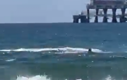 Israele, sub attaccato dagli squali scompare davanti ai bagnanti che lo filmano