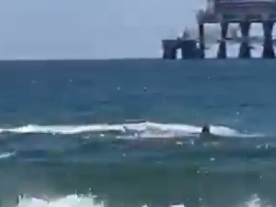 Israele, sub attaccato dagli squali scompare davanti ai bagnanti che lo filmano