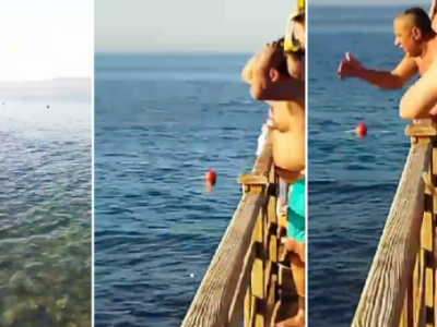 Attacco mortale di uno squalo su una donna in un famoso resort nel Mar Rosso