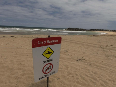 Australia, uomo di 57 anni scomparso sulla costa di Port Beach a North Fremantle, si teme attacco di squalo.