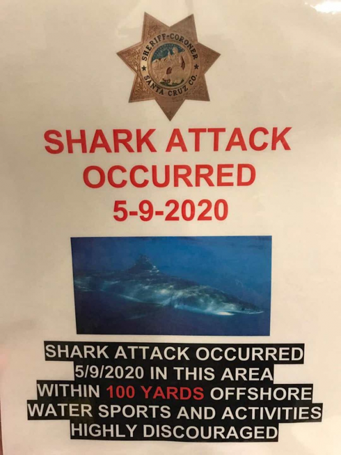 California, surfista 26enne ucciso da uno squalo.