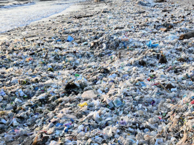 Una marea di plastica spiaggiata lungo la costa di Bali fa inorridire i turisti. Il video