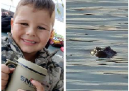 Bambino di 7 anni attaccato da un coccodrillo in Sudafrica