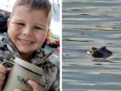 Bambino di 7 anni attaccato da un coccodrillo in Sudafrica