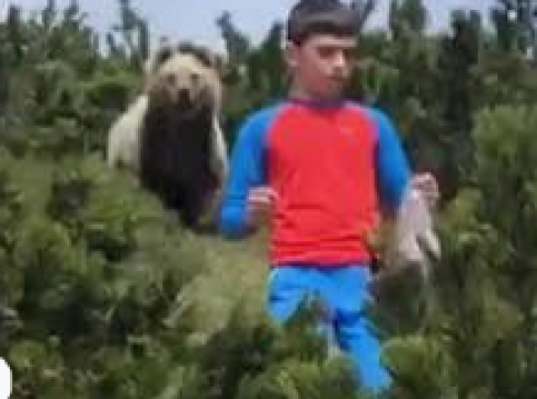 Incontro finito bene tra un orso ed un bambino in Trentino a Sporminore.