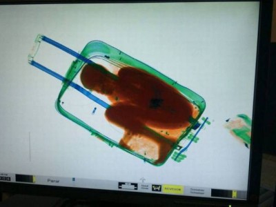 bambino in valigia