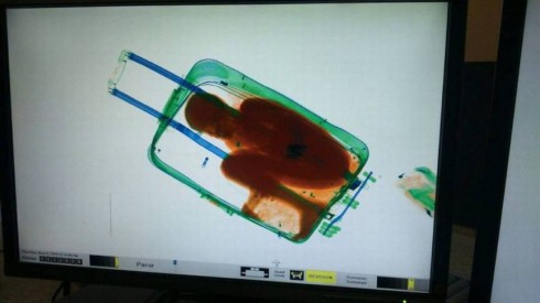 bambino in valigia