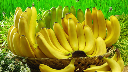 Dal banano non solo il frutto, ma anche vestiti. 