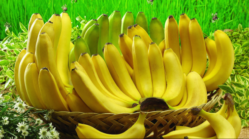 Dal banano non solo il frutto, ma anche vestiti.