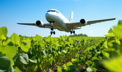 Carburante sostenibile per l'aviazione ricavato dalle barbabietole