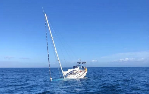 Video attacco di orche, affonda una barca francese lungo le coste portoghesi: quattro marinai salvati