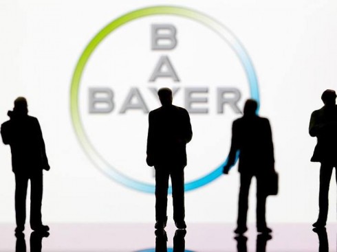 bayer