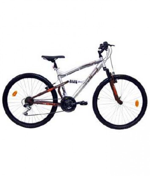 bicicletta bicicletta