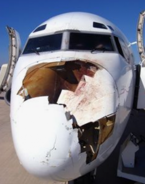 Impatto aereo Ryanair con volatile, volo per Bari deviato