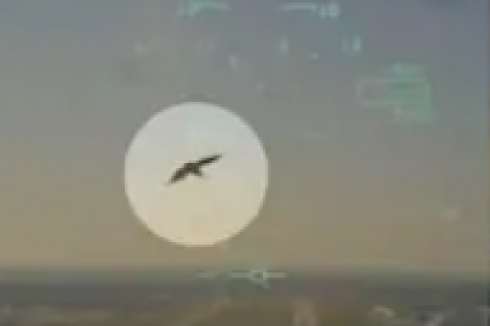 “Non ce la faremo”: il video mostra il momento terrificante in cui il jet militare colpito da un uccello si schianta contro un’area residenziale