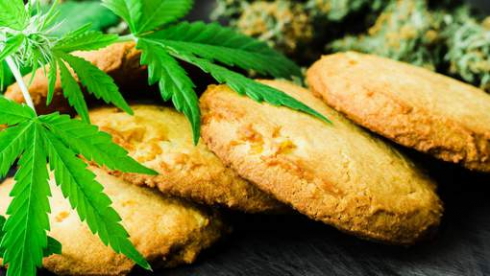 Medico californiano ha prescritto biscotti alla cannabis a un bimbo di 4 anni