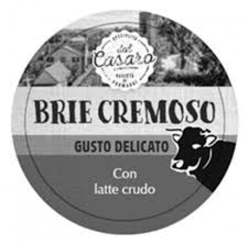 Brie cremoso Specialità del Casaro venduto da Lidl, richiamato per escherichia coli (VTEC).