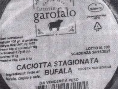 Escherichia Coli nella caciotta stagionata di bufala