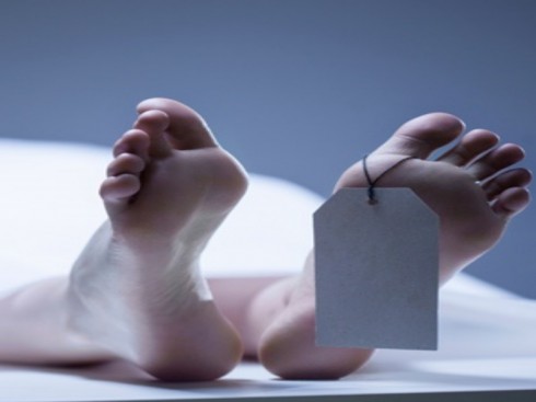cadavere cadavere