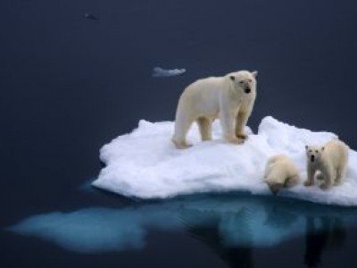 38 gradi nell'Artico: il record di temperatura convalidato dall'ONU