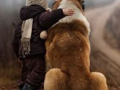 cane e bambino