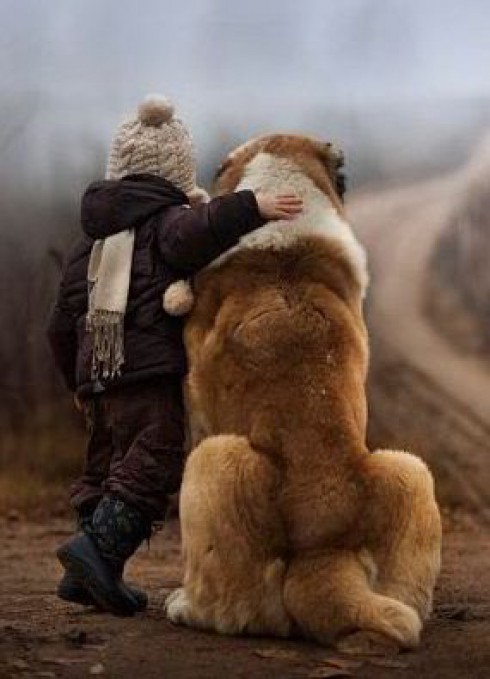 cane e bambino cane e bambino