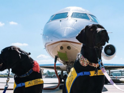 Atterrato a Roma Fiumicino il primo volo che consente cani di grossa taglia in cabina