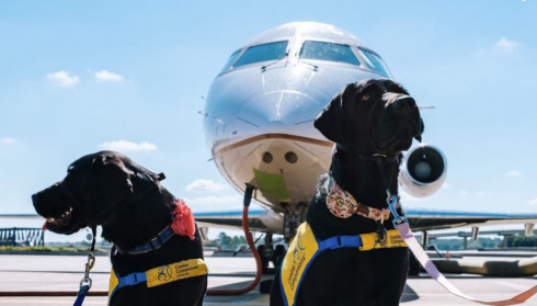 Atterrato a Roma Fiumicino il primo volo che consente cani di grossa taglia in cabina