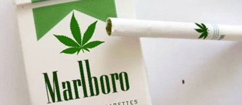 cannabis sotto forma di sigaretta malboro cannabis sotto forma di sigaretta malboro