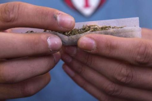 cannabis cannabis