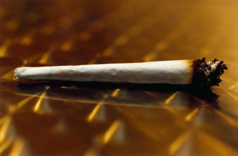 cannabis joint cannabis joint