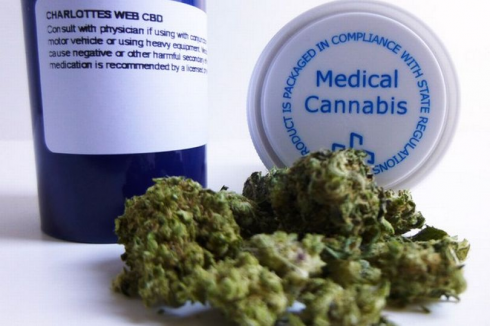 Cannabis: maxistudio studio clinico per usarla contro il cancro e potenziare il sistema immunitario