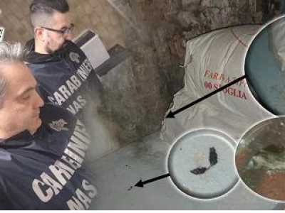 Cambia tutto, è reato tenere i cibi guasti nel magazzino del locale
