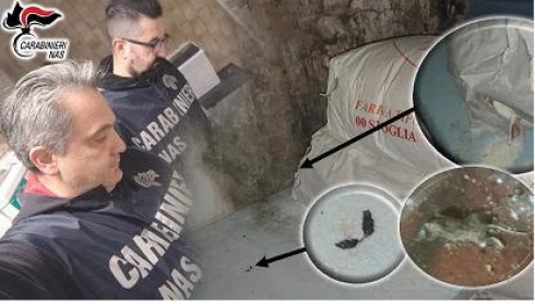 Cambia tutto, è reato tenere i cibi guasti nel magazzino del locale