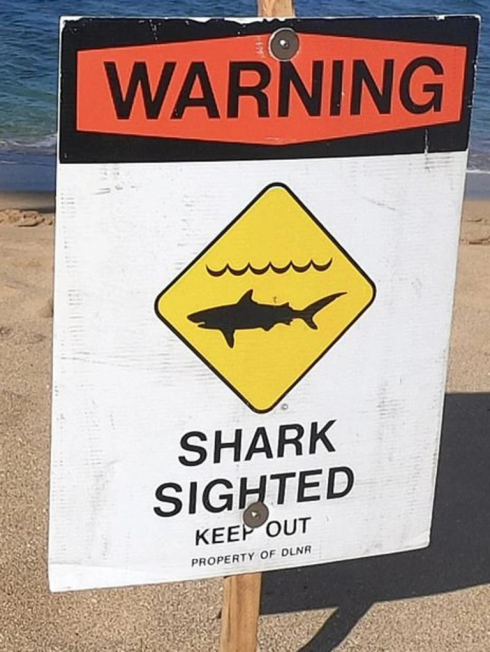 Dramma natalizio alle Hawaii, surfista ucciso da uno squalo