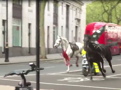 Due cavalli della guardia reale fuggono nelle strade del centro di Londra e si schiantano su bus e taxi, 4 feriti